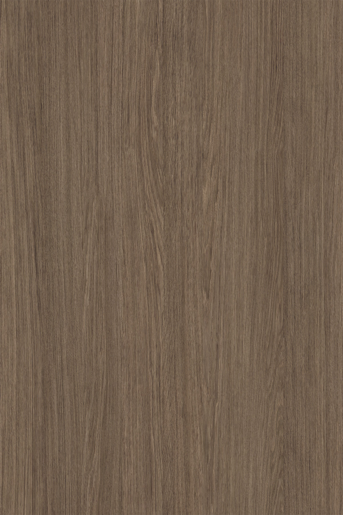 K696 PV Umber Primavera Oak